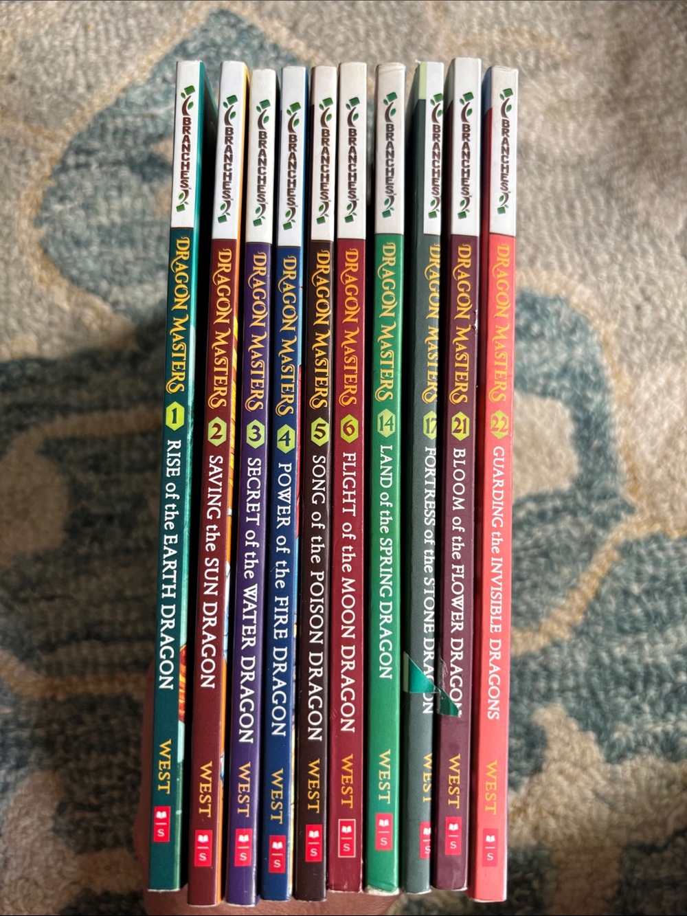 Dragon Masters Book Set by Scholastic | Multi-Color Spine Collection